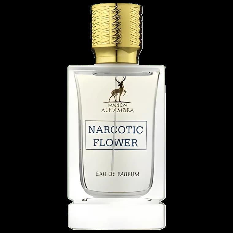میزون الحمبرا - نارکوتیک فلاور — alhambra narcotic flower