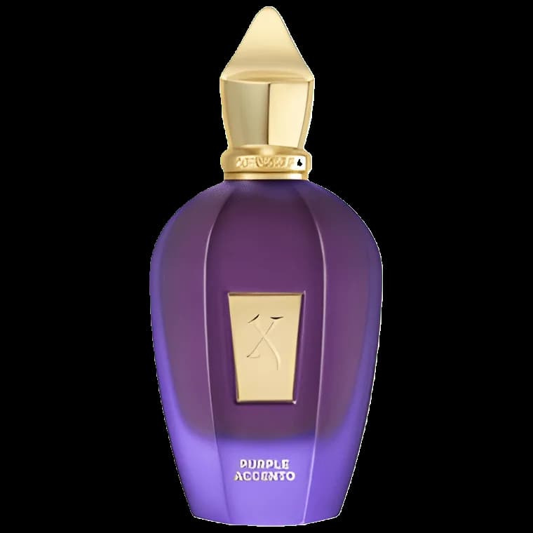 Xerjoff Accento Purple — xerjoff accento purple