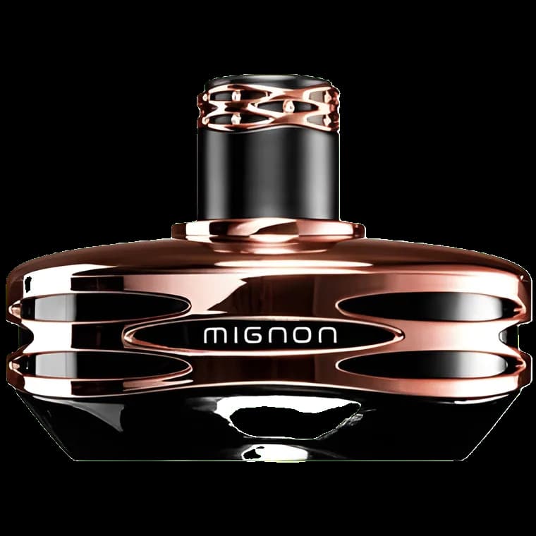 مینیون آرماف (برنزی) — armaf mignon bronze