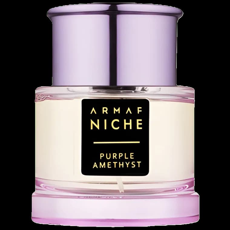 آرماف نیچ - پرپل آمتیست — armaf niche purple amethyst