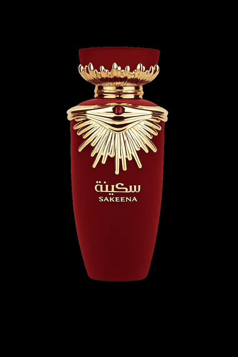 لطافه - سکینه — lattafa sakeena